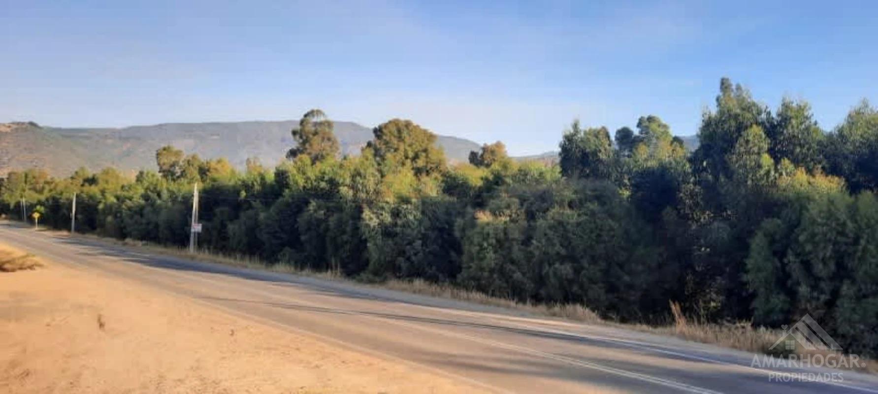 Gran terreno de tres hectáreas