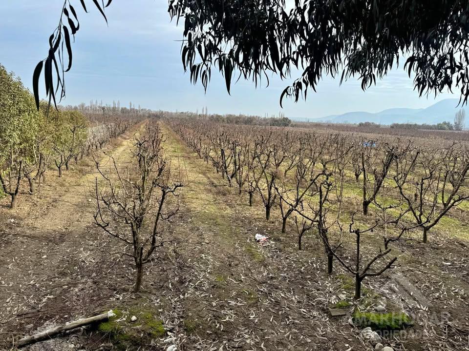 Linda parcela con casa