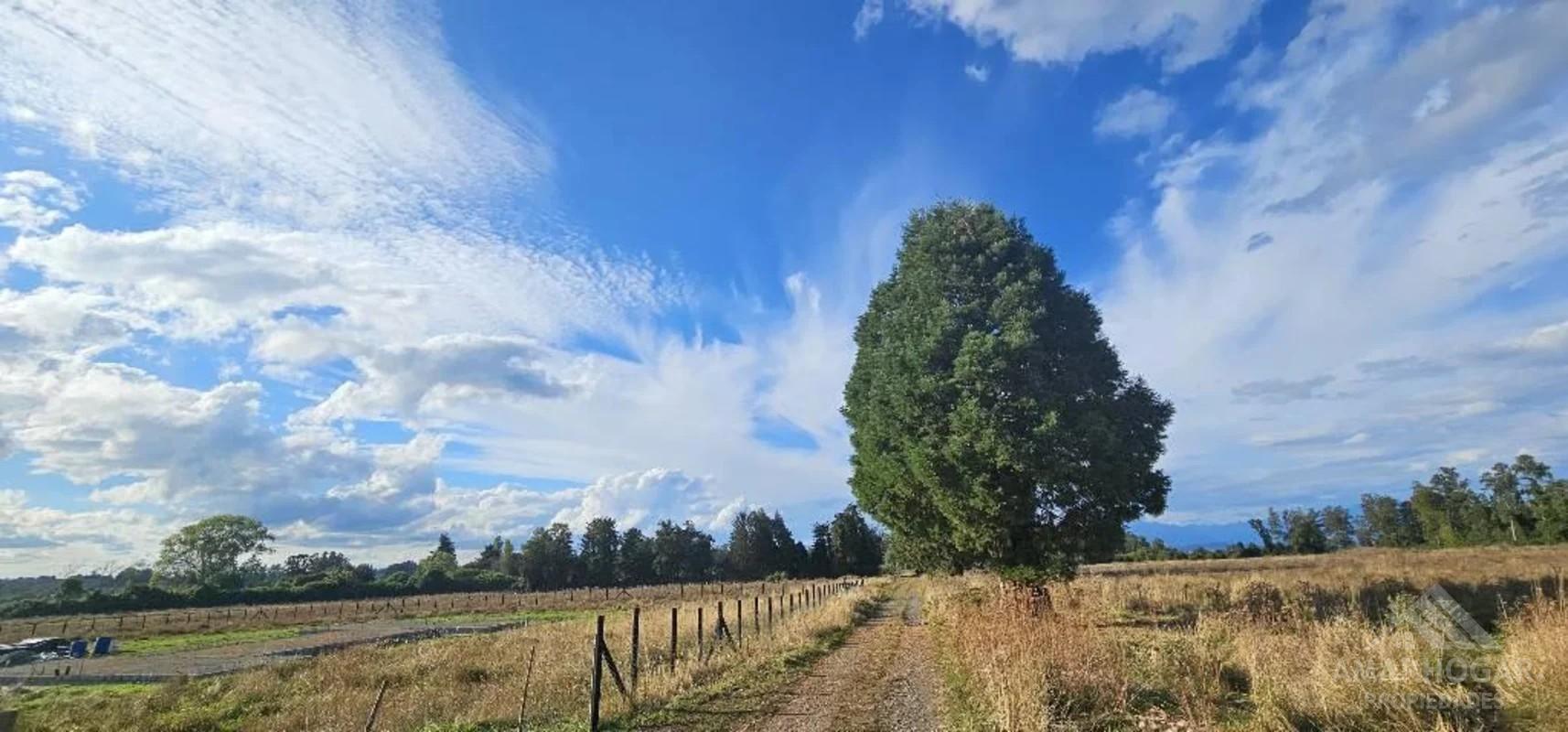 Venta loteo parcelación Arturo Prat